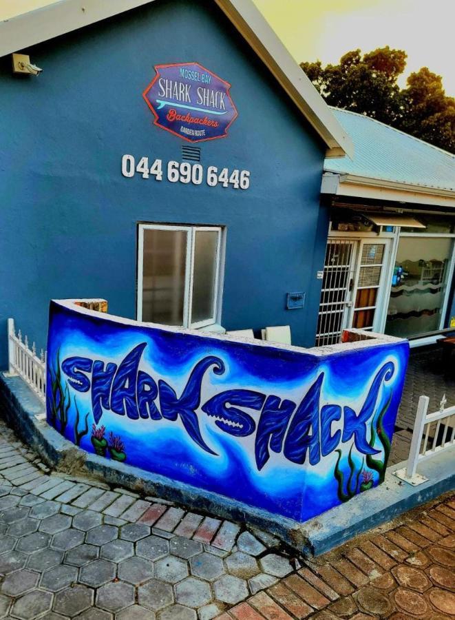 بيت شباب Shark Shack Backpackers موسيلباي المظهر الخارجي الصورة