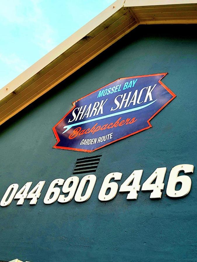 بيت شباب Shark Shack Backpackers موسيلباي المظهر الخارجي الصورة
