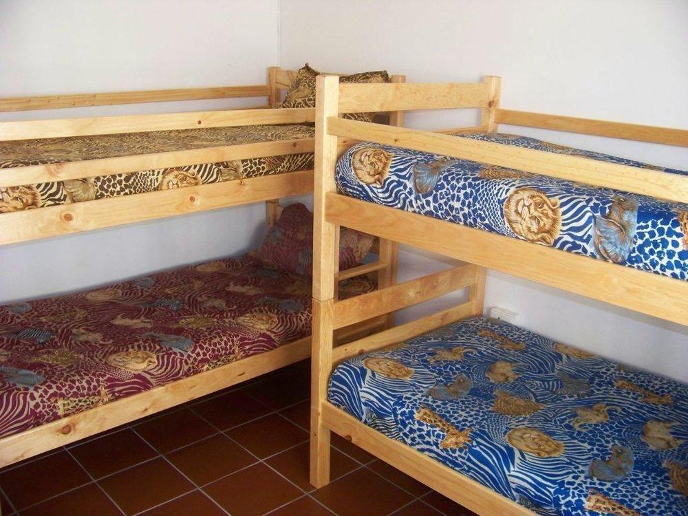 بيت شباب Shark Shack Backpackers موسيلباي المظهر الخارجي الصورة